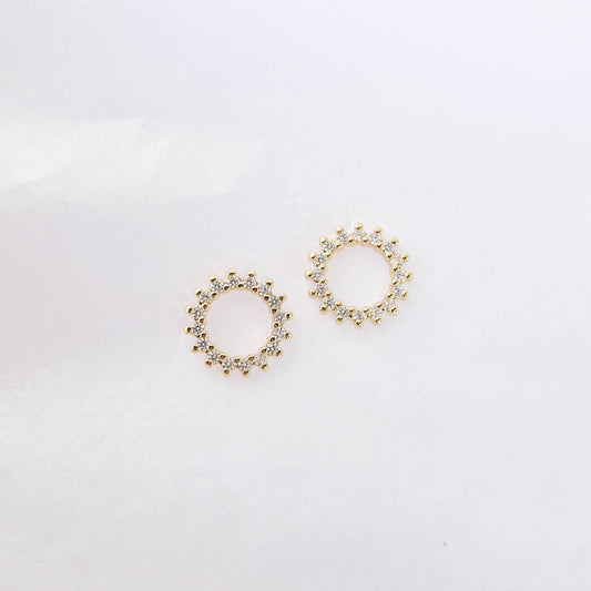 EB018 Spectacular Earrings