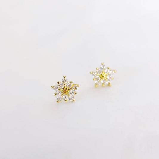 EB013 Glorious Earrings