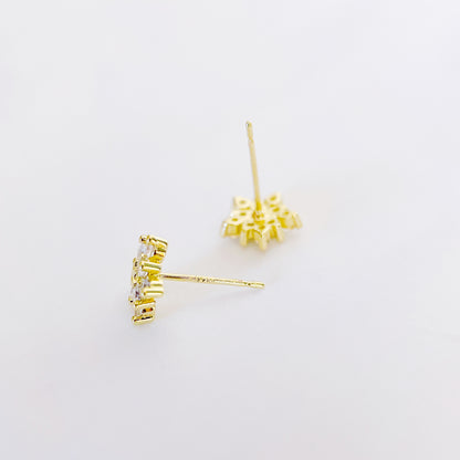 EB013 Glorious Earrings