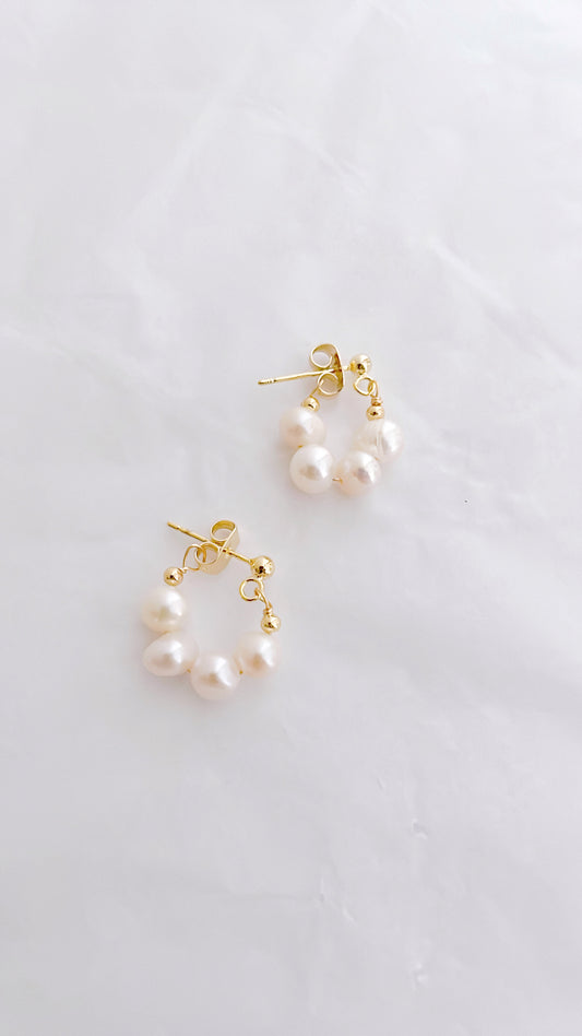 EB017 Pearl Attractive Earrings