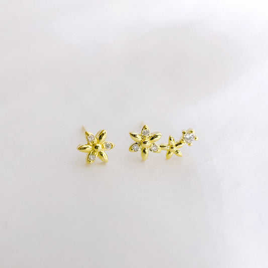 EB010 Astonishingly Earrings